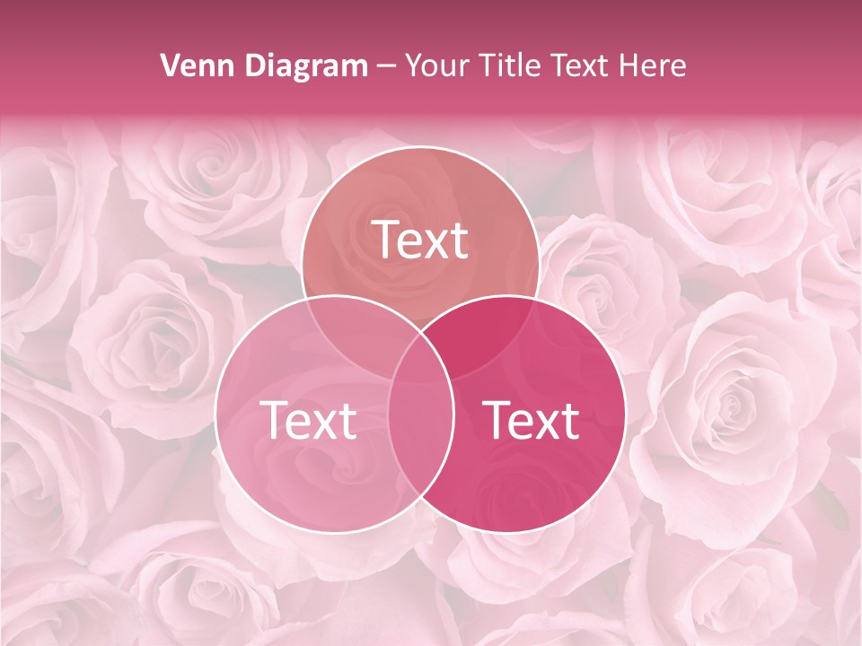 Flowers Pink Day PowerPoint Template