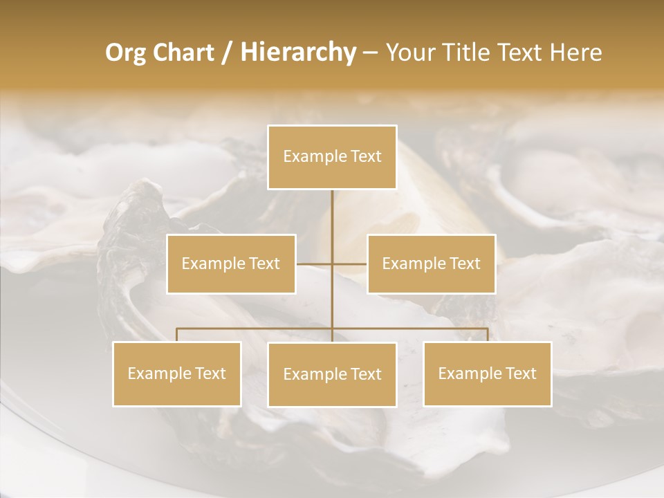 Citrus Raw Flesh PowerPoint Template