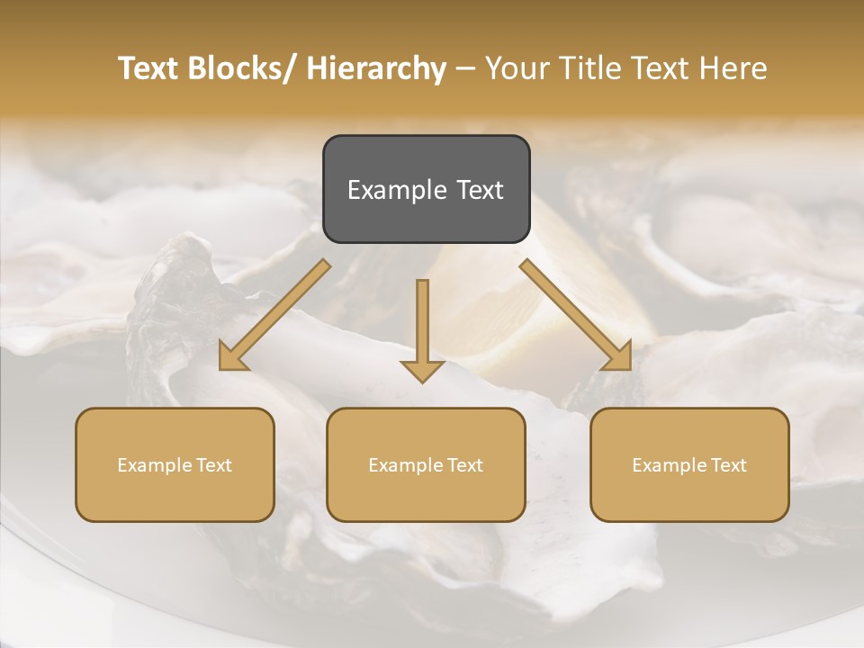 Citrus Raw Flesh PowerPoint Template