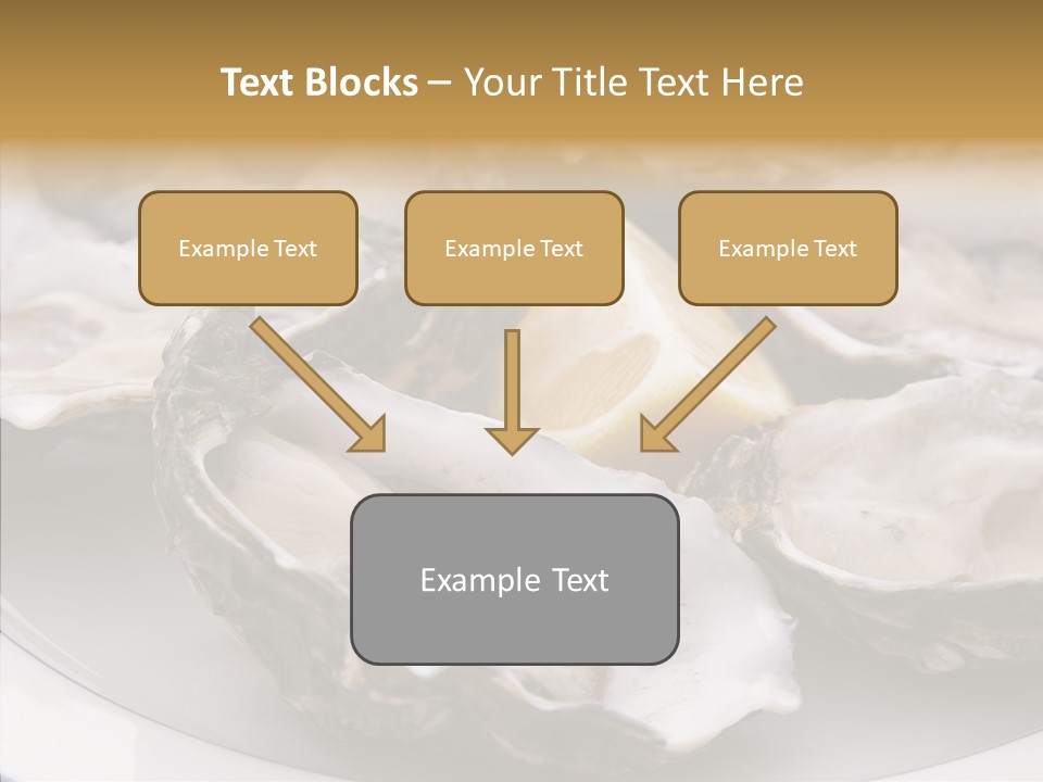 Citrus Raw Flesh PowerPoint Template