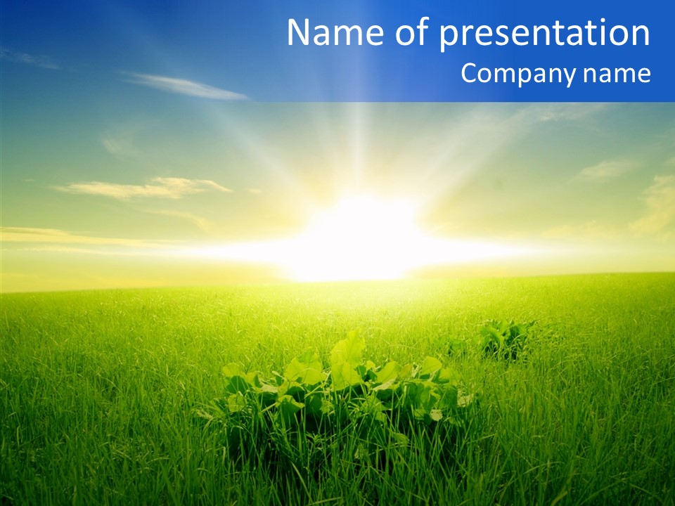 Country Grass Rural PowerPoint Template