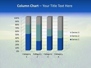 Country Grass Rural PowerPoint Template