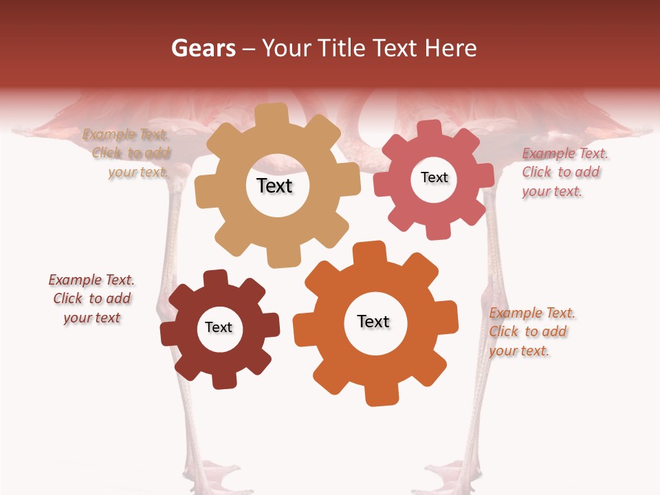 Birds Water Soulmate PowerPoint Template