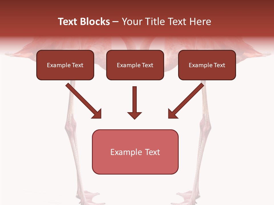 Birds Water Soulmate PowerPoint Template