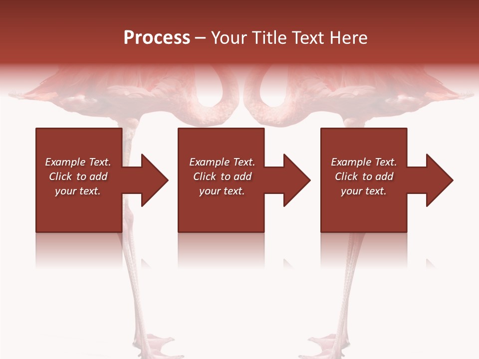 Birds Water Soulmate PowerPoint Template