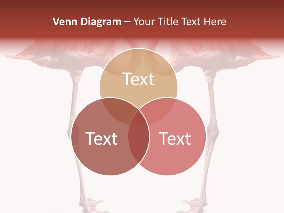 Birds Water Soulmate PowerPoint Template