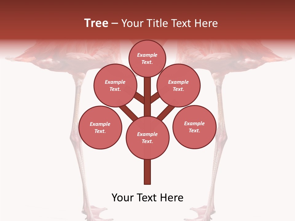 Birds Water Soulmate PowerPoint Template