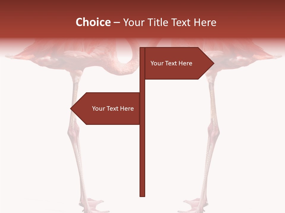 Birds Water Soulmate PowerPoint Template