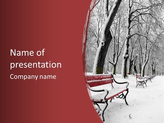 Cold Noon Park PowerPoint Template