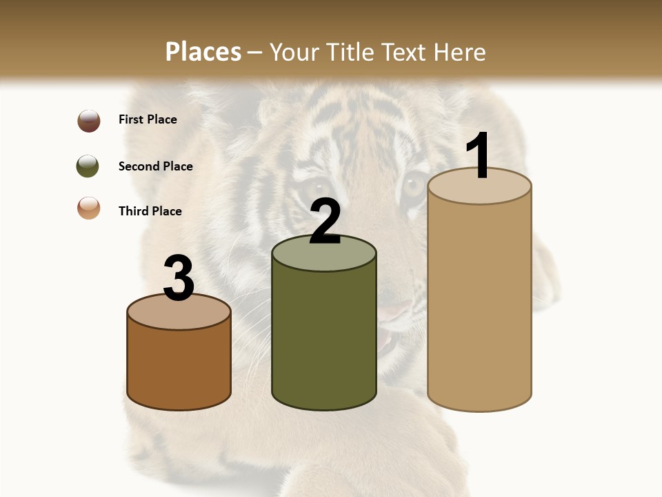 Face White Fierce PowerPoint Template