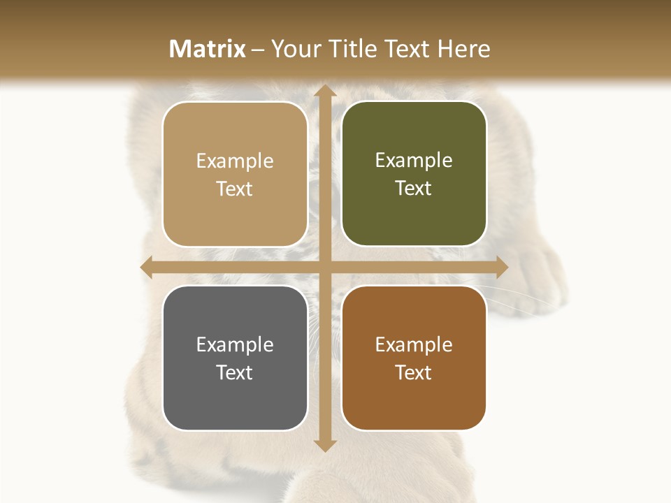 Face White Fierce PowerPoint Template