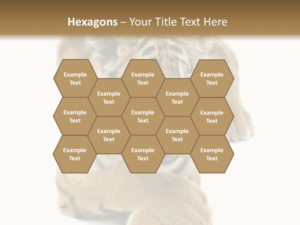 Face White Fierce PowerPoint Template