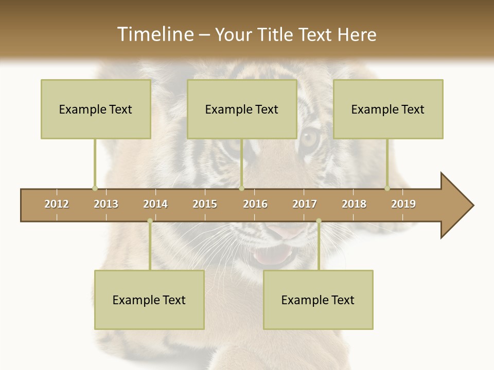 Face White Fierce PowerPoint Template