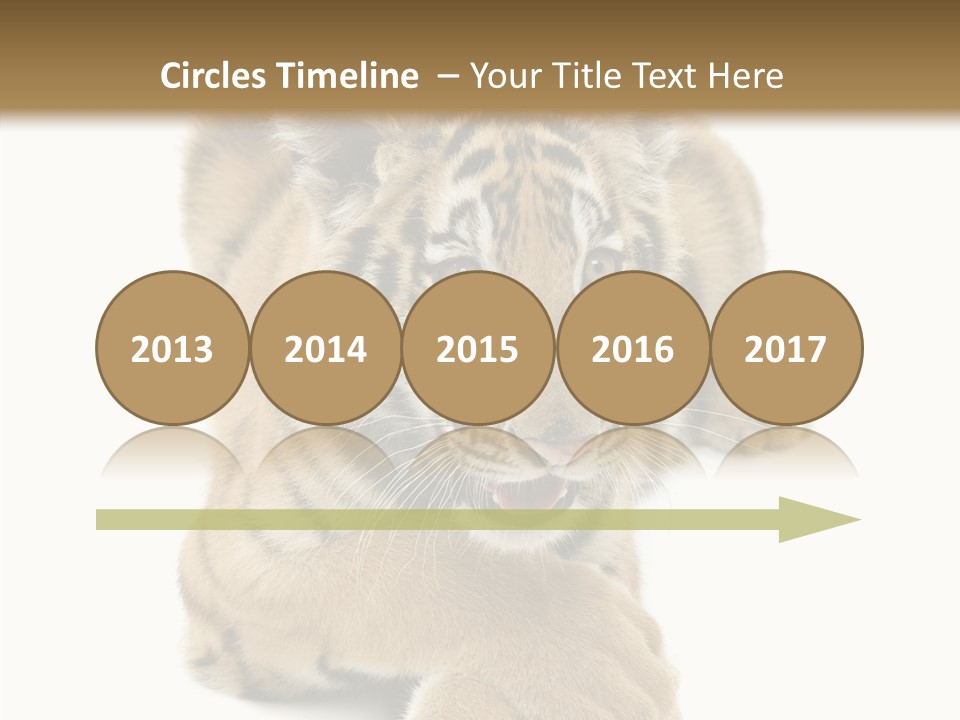 Face White Fierce PowerPoint Template