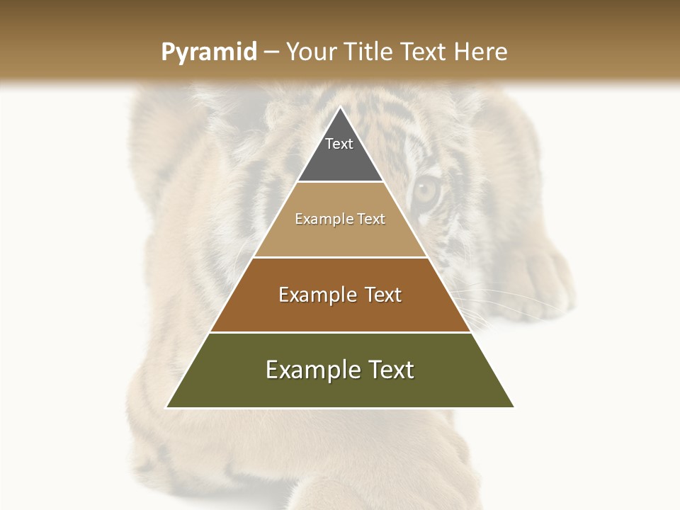 Face White Fierce PowerPoint Template