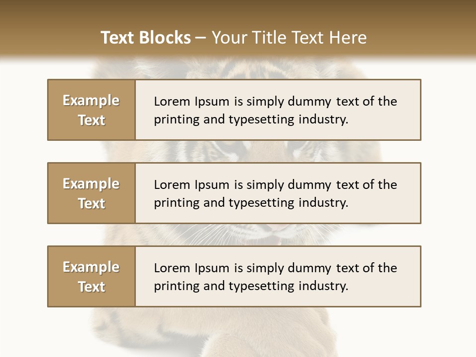 Face White Fierce PowerPoint Template