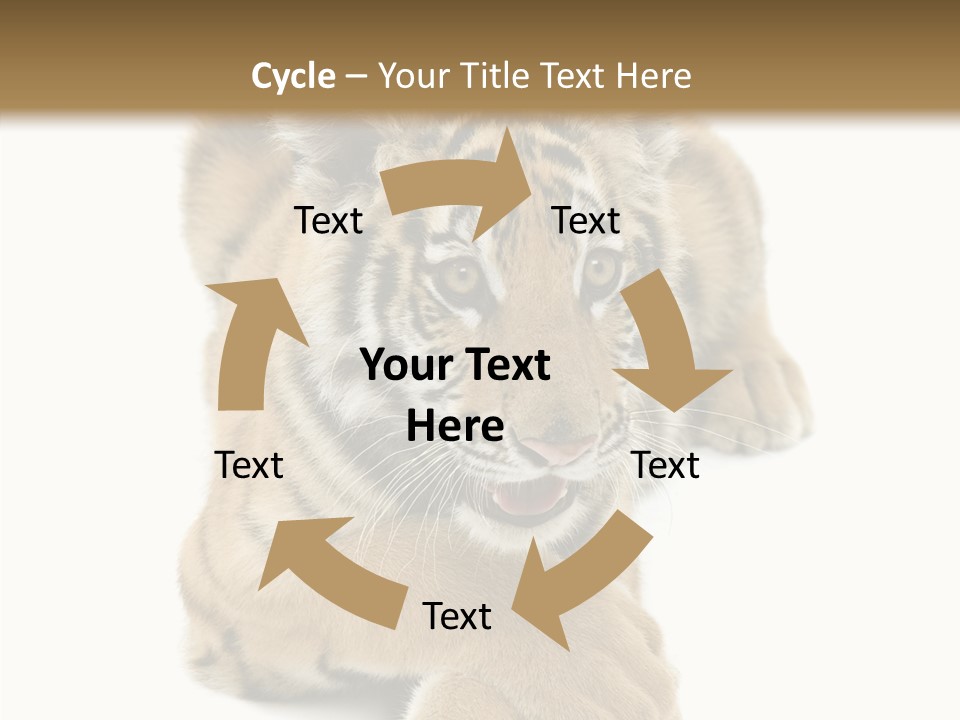 Face White Fierce PowerPoint Template