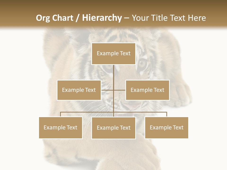 Face White Fierce PowerPoint Template