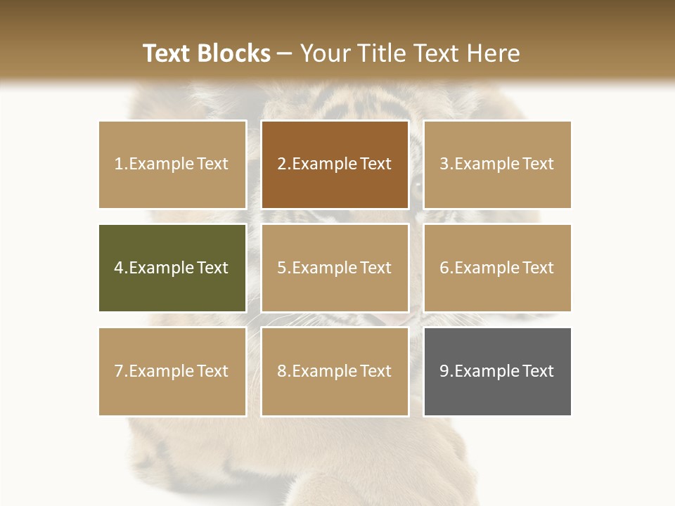 Face White Fierce PowerPoint Template