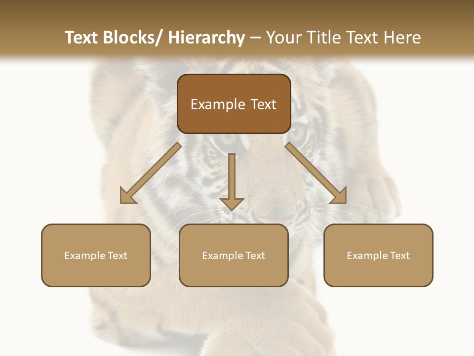 Face White Fierce PowerPoint Template