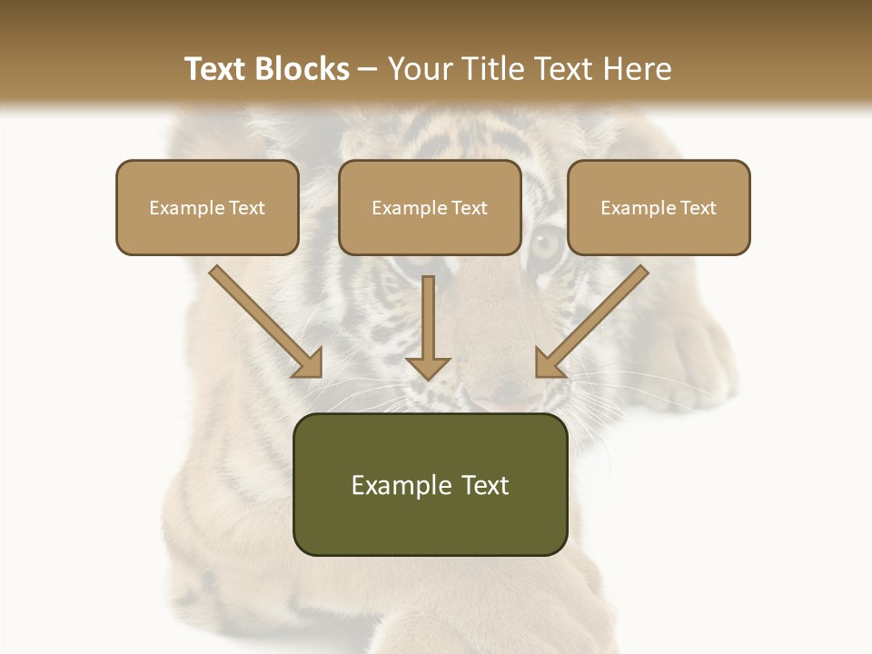 Face White Fierce PowerPoint Template