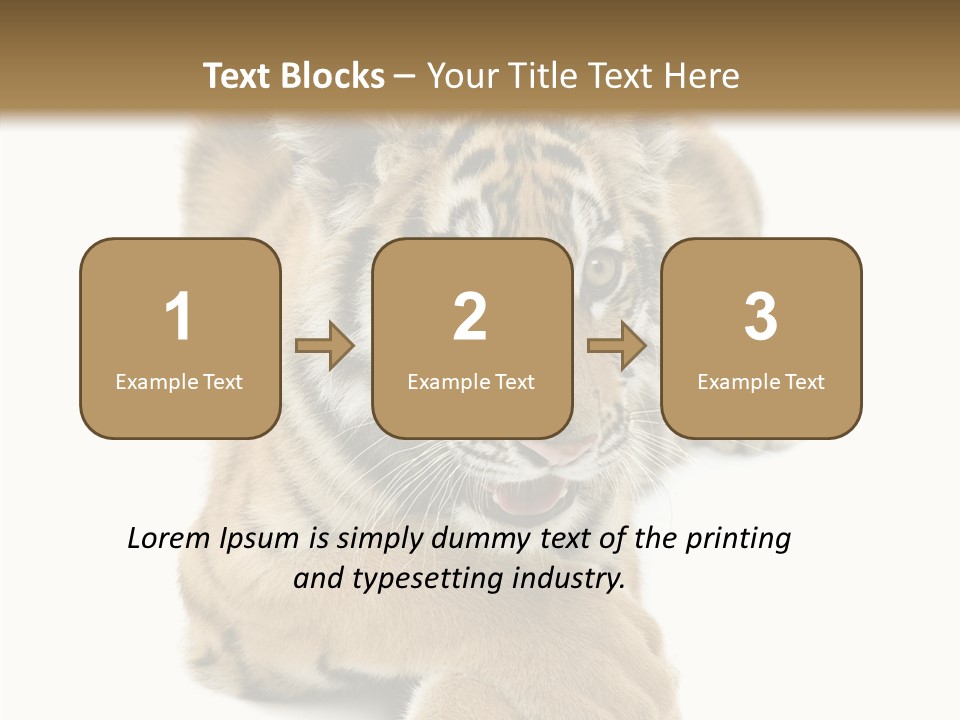 Face White Fierce PowerPoint Template