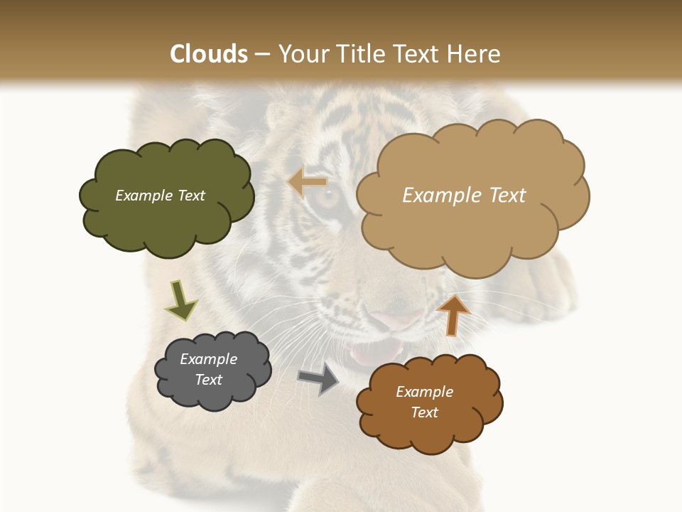 Face White Fierce PowerPoint Template