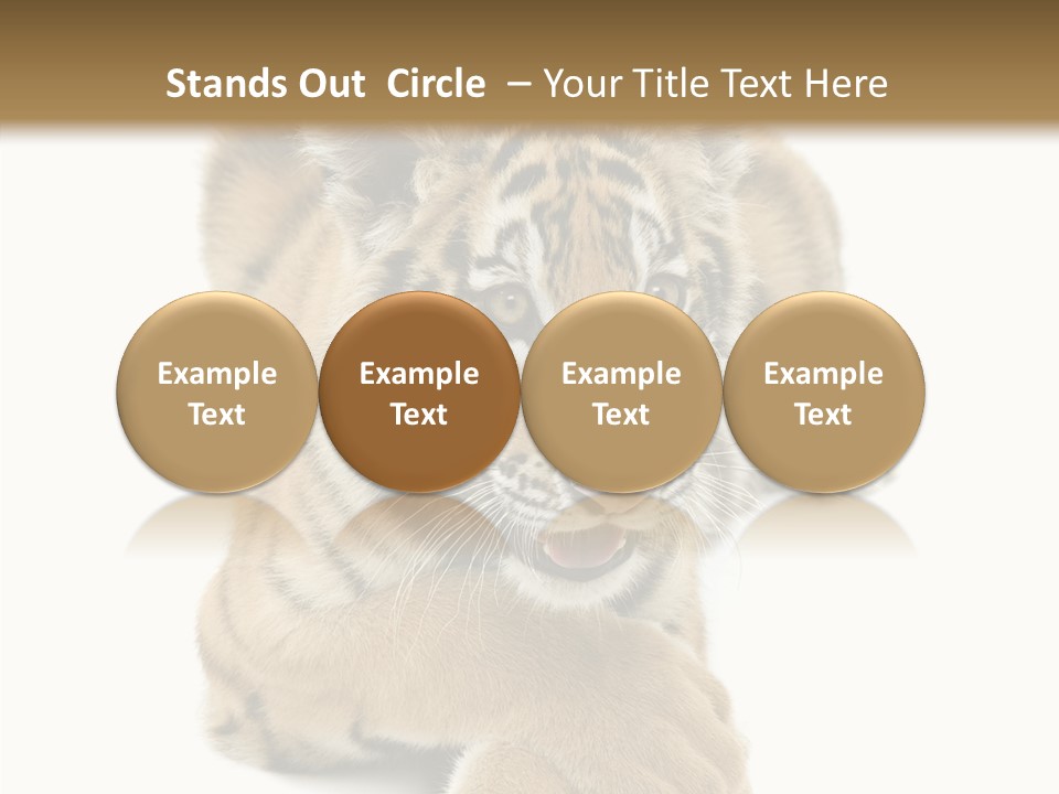 Face White Fierce PowerPoint Template