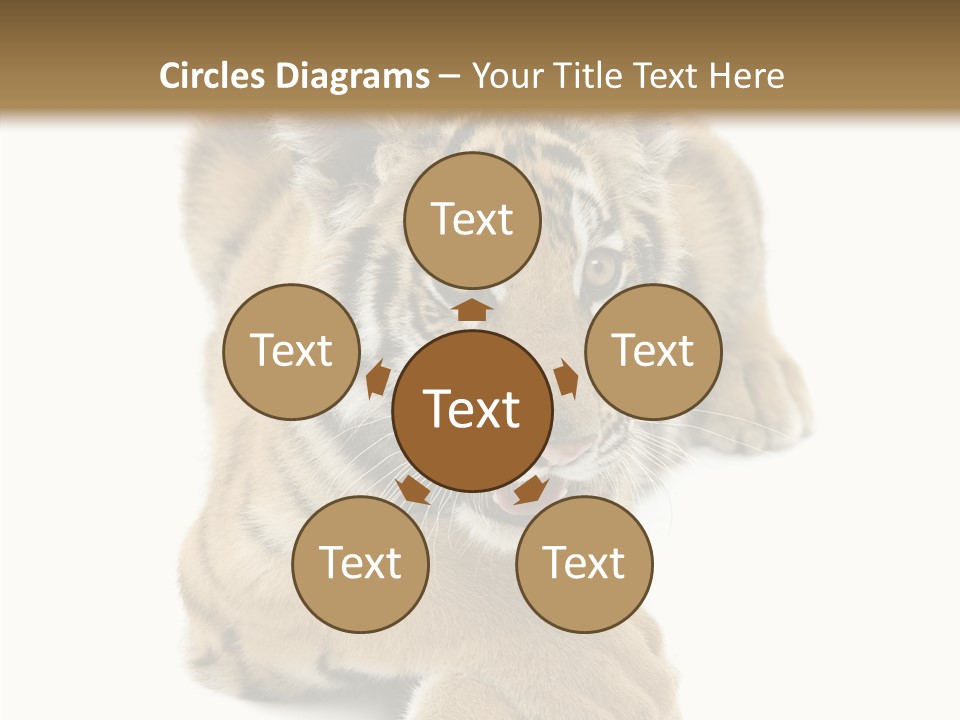 Face White Fierce PowerPoint Template