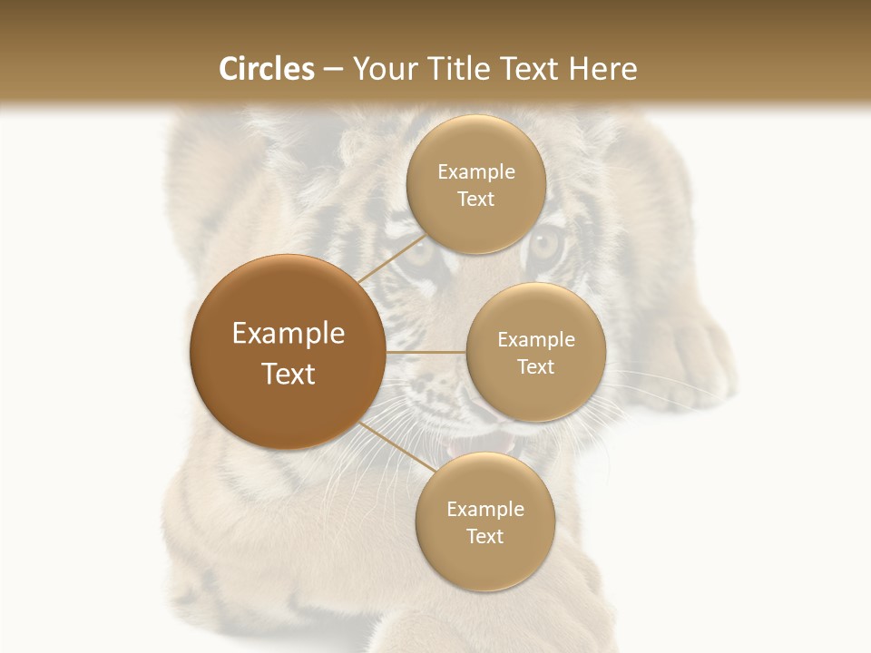 Face White Fierce PowerPoint Template