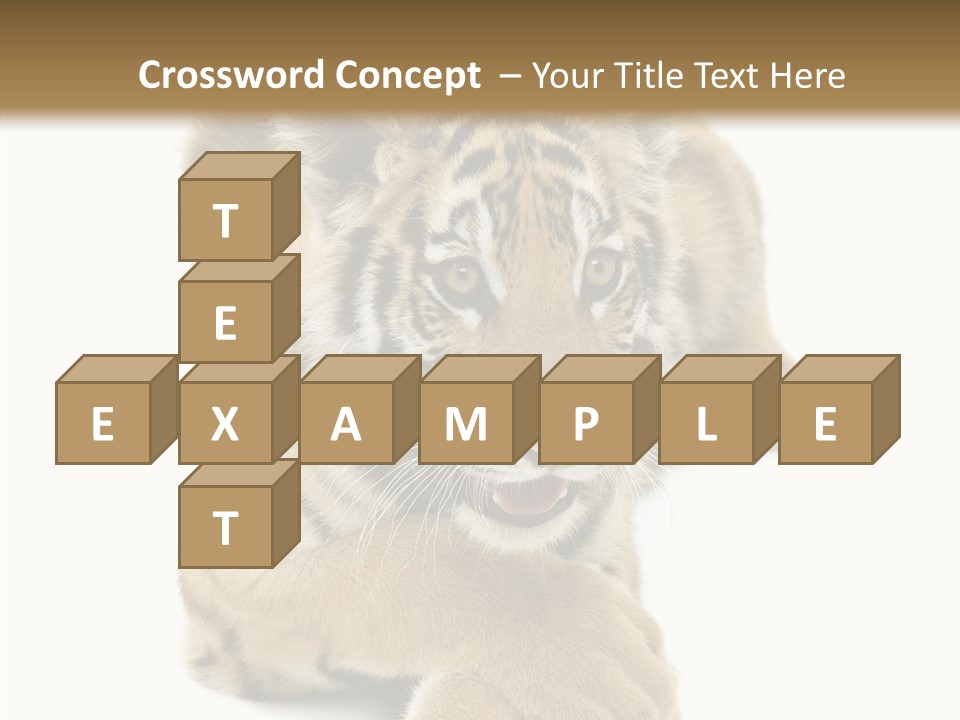 Face White Fierce PowerPoint Template