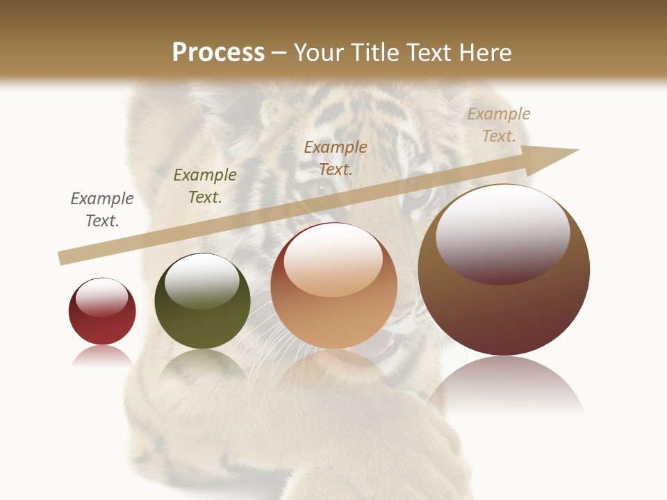 Face White Fierce PowerPoint Template