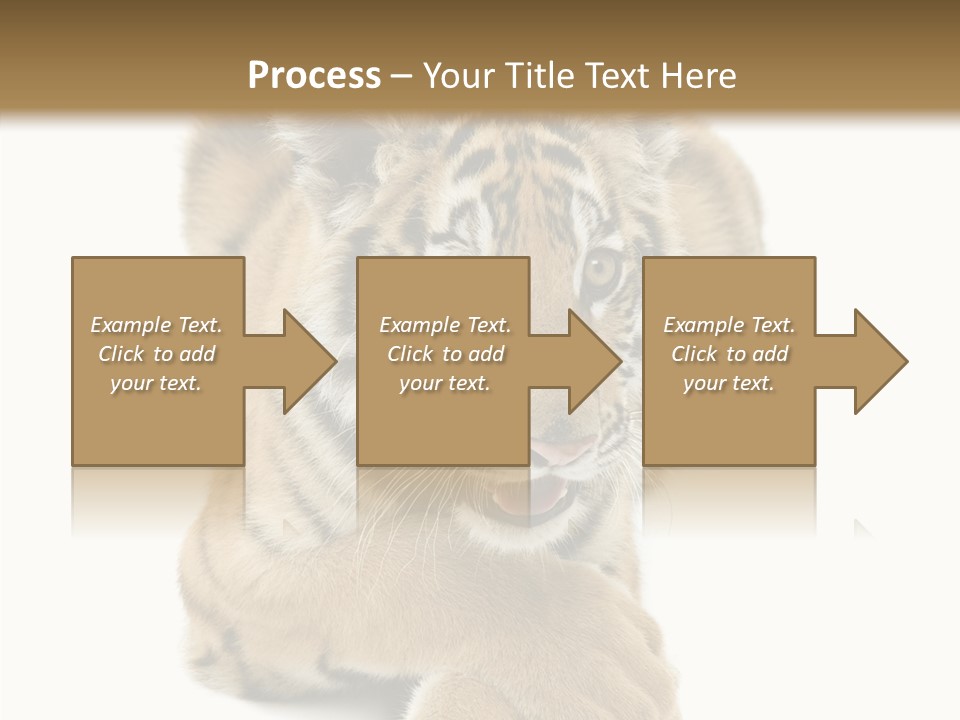 Face White Fierce PowerPoint Template