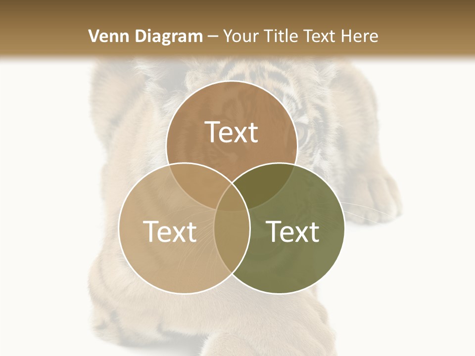 Face White Fierce PowerPoint Template