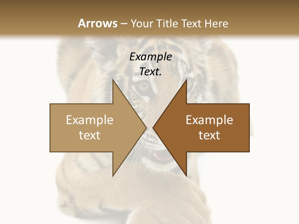 Face White Fierce PowerPoint Template