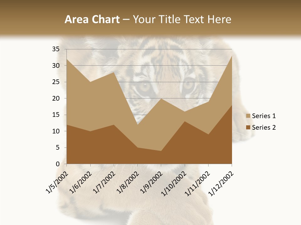 Face White Fierce PowerPoint Template