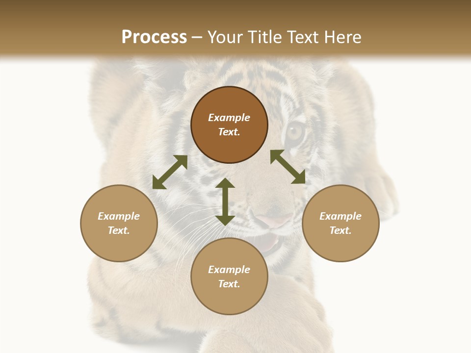 Face White Fierce PowerPoint Template