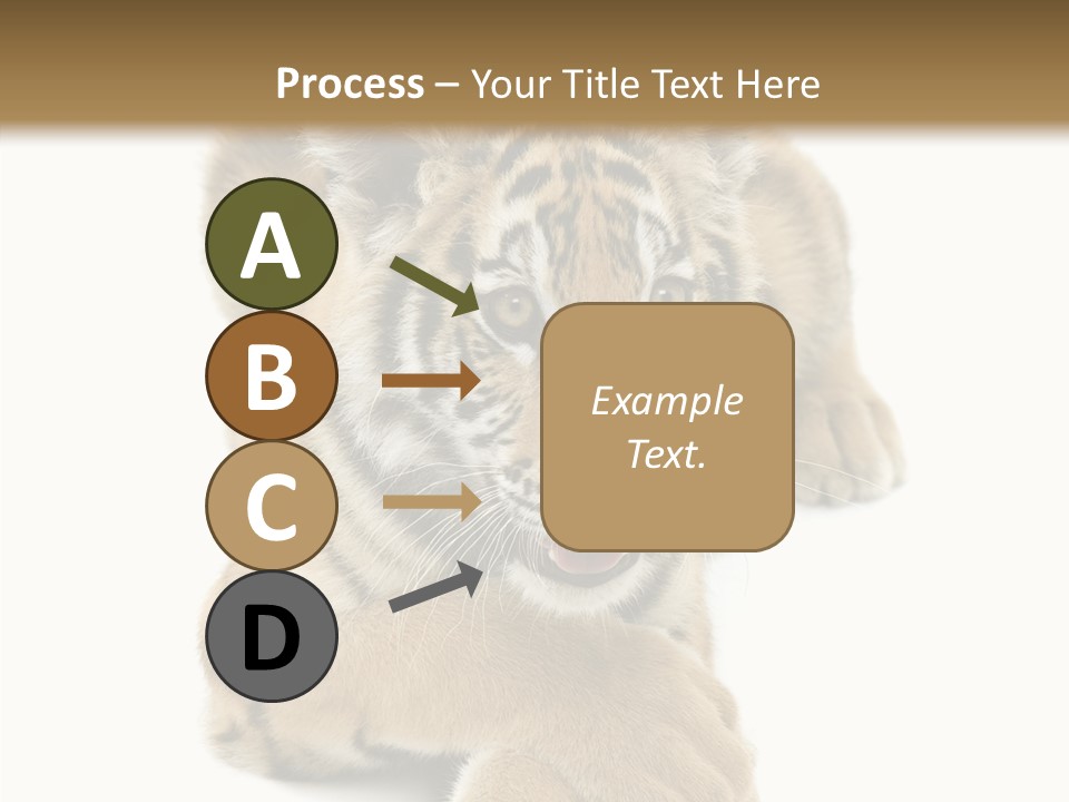 Face White Fierce PowerPoint Template