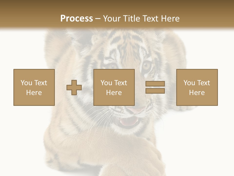 Face White Fierce PowerPoint Template