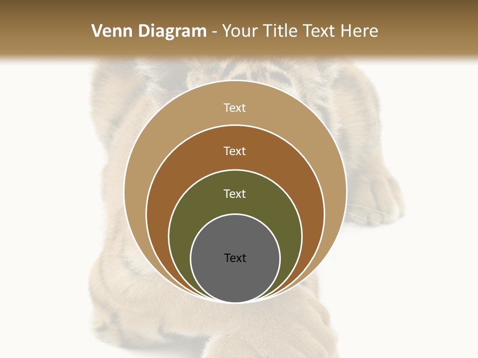 Face White Fierce PowerPoint Template