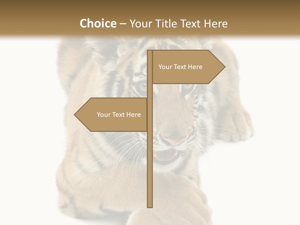 Face White Fierce PowerPoint Template