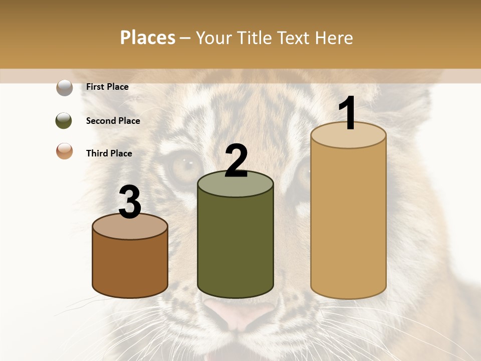 Felidae Closeup Studio PowerPoint Template