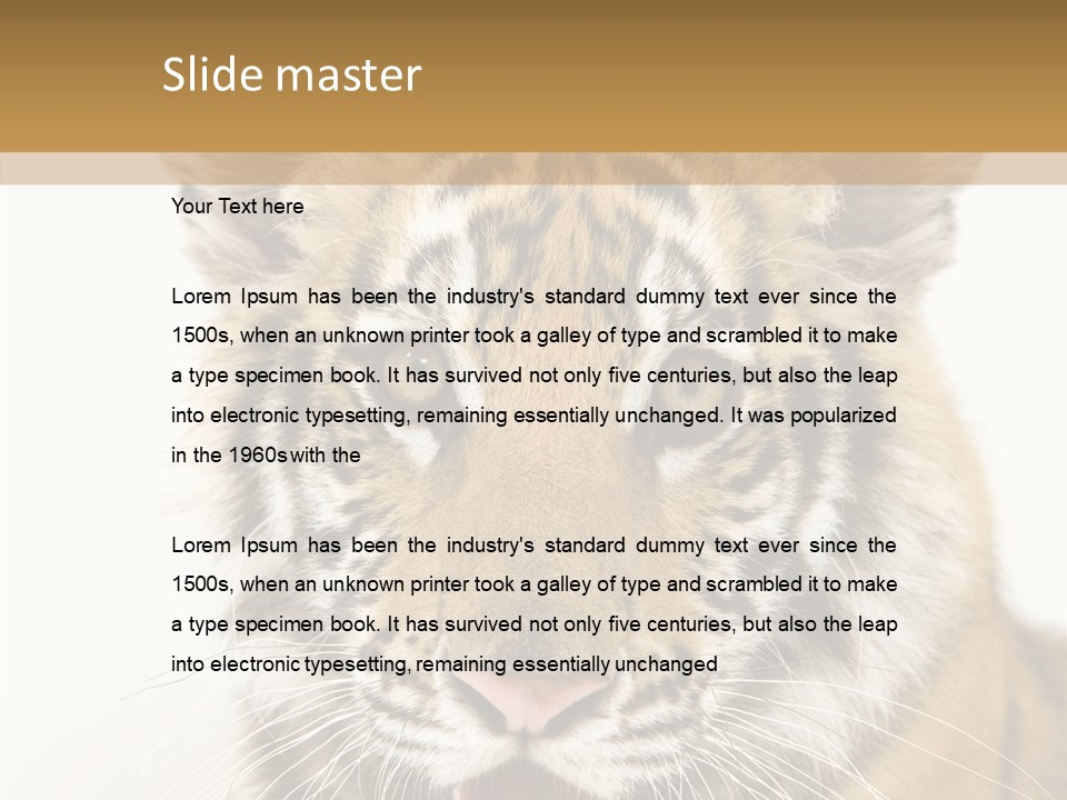 Felidae Closeup Studio PowerPoint Template