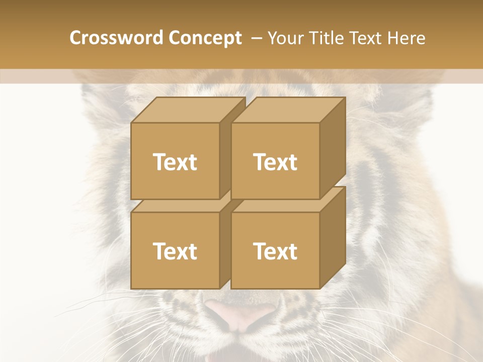 Felidae Closeup Studio PowerPoint Template