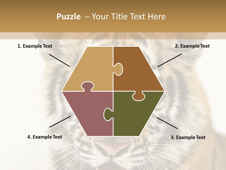 Felidae Closeup Studio PowerPoint Template