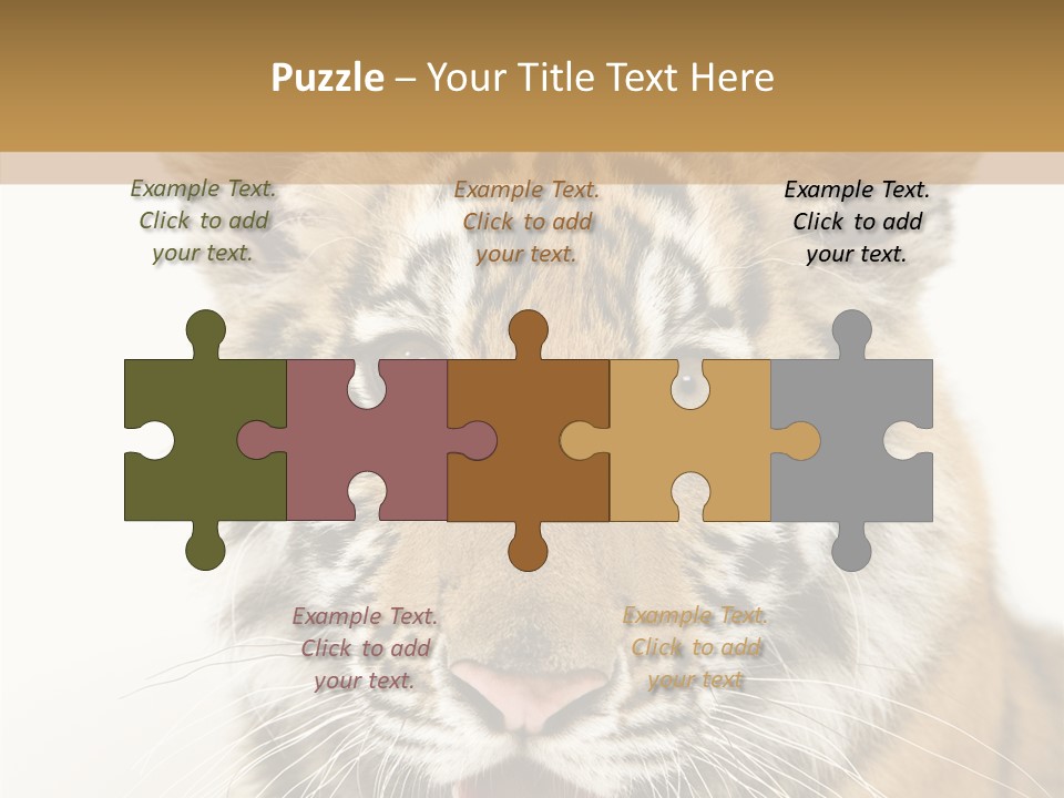 Felidae Closeup Studio PowerPoint Template