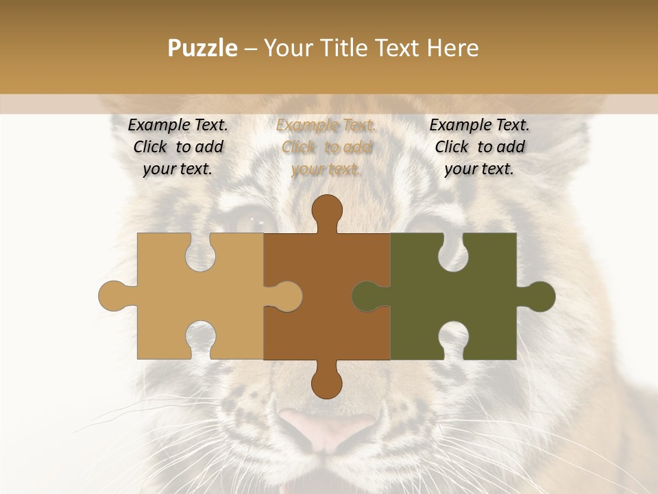 Felidae Closeup Studio PowerPoint Template