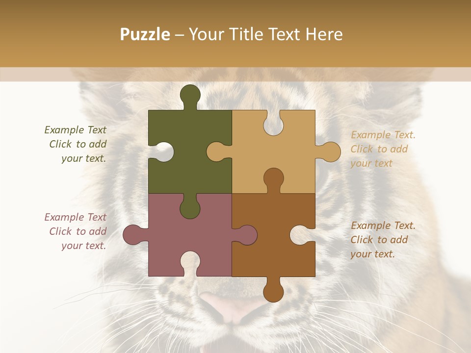 Felidae Closeup Studio PowerPoint Template