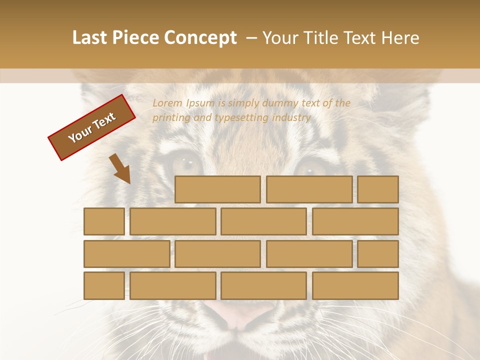 Felidae Closeup Studio PowerPoint Template