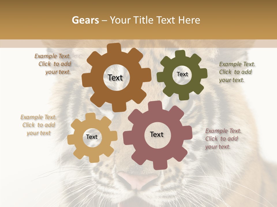 Felidae Closeup Studio PowerPoint Template